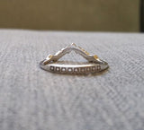 The Delphine Band (Plain)